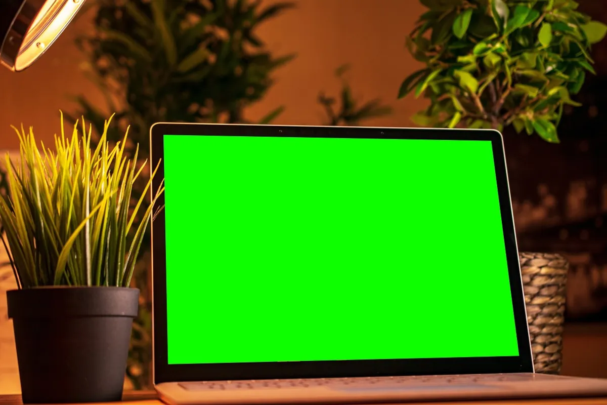 Die Zukunft der Flachbildschirmbeleuchtung Organische Leuchtdioden (OLED)